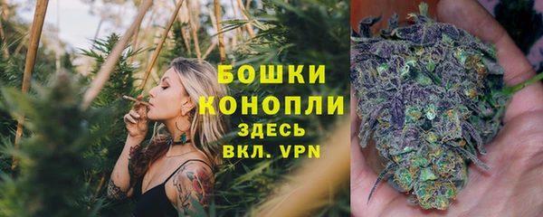 наркотики Новозыбков